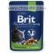 Brit Premium Cat kapsa Chicken Slices Sterilised 100g